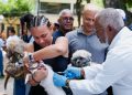 Vacunación de animales