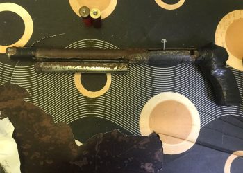 arma cacera o chilena
