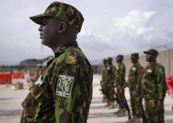 plciia jamaica haigti