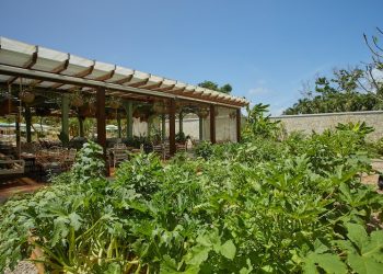 Cayo Levantado Resort El Conuco Rest Santa Yuca