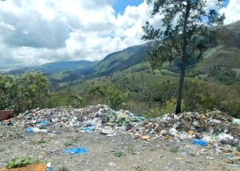 Plasticos y desecho solidos