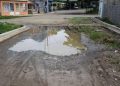 calle de sabana