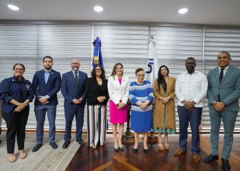 fiscales y procuradora