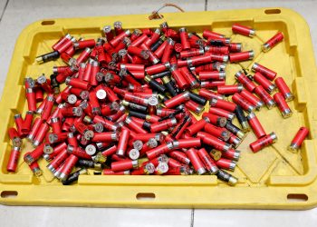 Cartuchos de escopeta