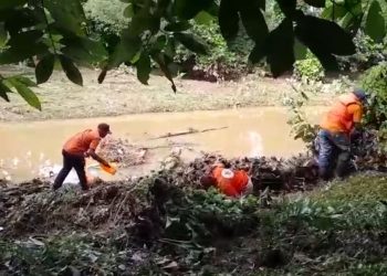 WhatsApp Image 2024 12 22 at 4.40.14 AM