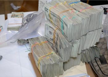 Panthera 7 DNCD y DEA