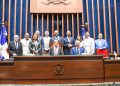 Senado