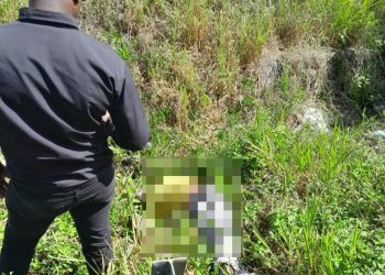 cadaver en autovía Santo Domingo Samaná