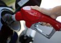 gasolina