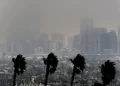 los angeles