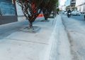 adn Alcaldía
