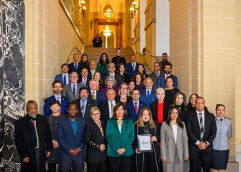 miembro de comisión