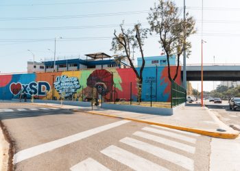 Alcaldia Villa Consuelo