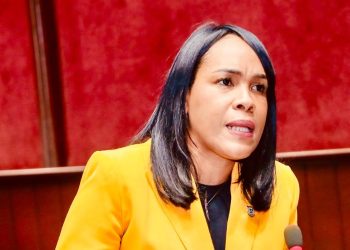 Diputada Kenia Bidó