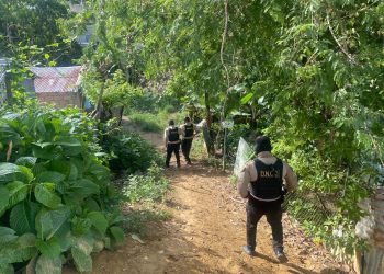 DNCD en Cambita Garabitos