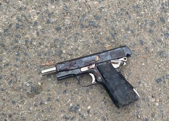 Delicuente abatido en los guaricanos