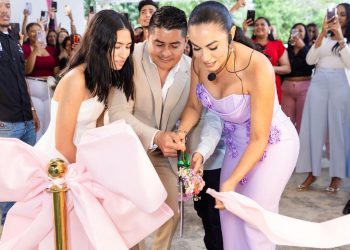 Lovery nave industrial