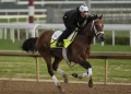kentuchy