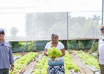 modesto guzman y agricutura