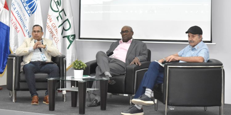DIGERA panel sobre SOS
