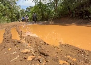 Pulgarín Bayaguana