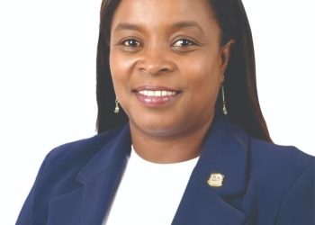 Diputada Millys Martínez