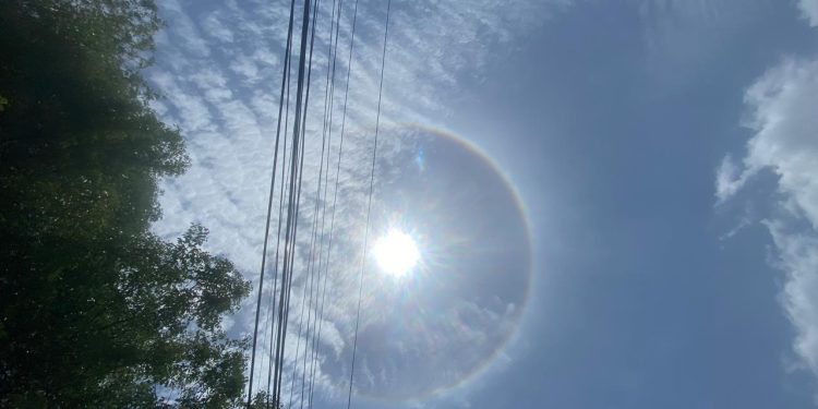 halo solar
