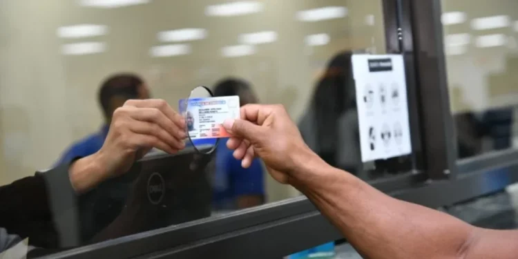 licencia