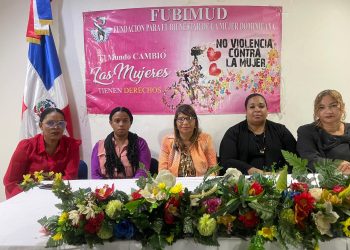 organiaciones sin fines de lugros