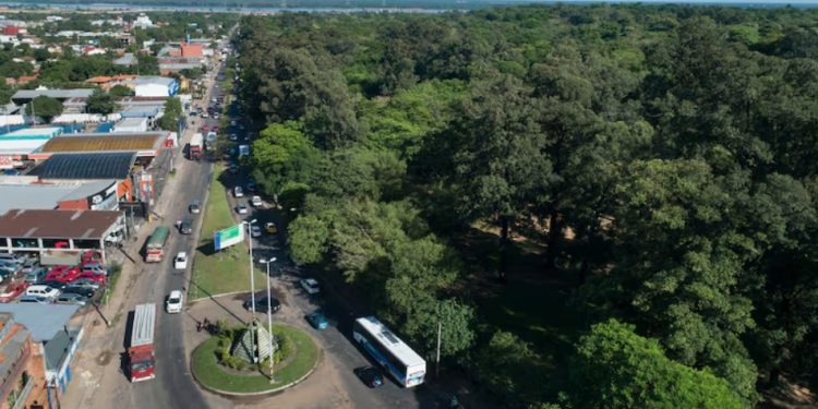 vista del Jardin Botanico