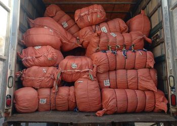 Uniformes falsificados GSD