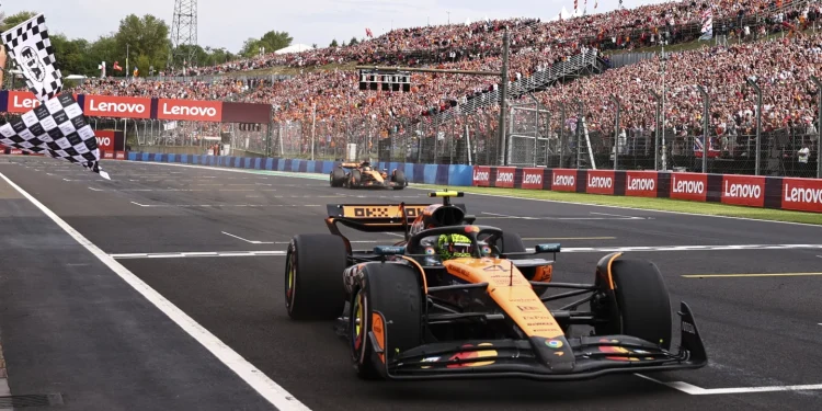 lando norris