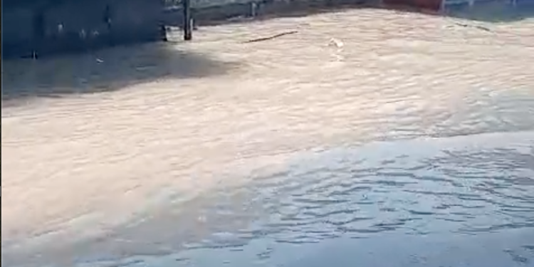 Averia caassd Avería en la avenida Máximo Gómez con Nicolás de Ovando