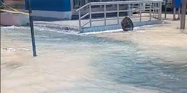Averia de agua en la Gomez