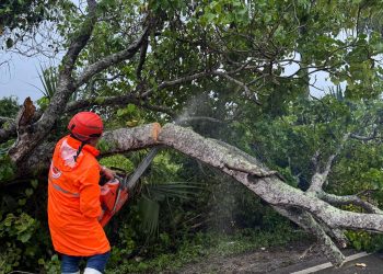 Defensa Civil refuerza acciones.3
