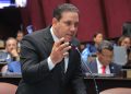 Diputado de La Vega