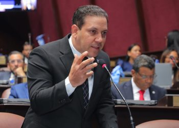 Diputado de La Vega