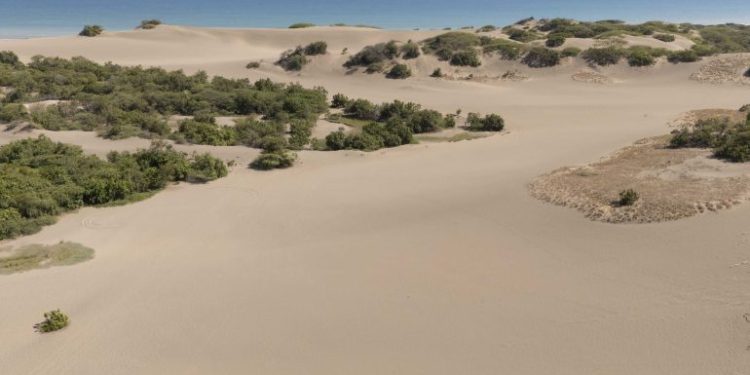 Dunas