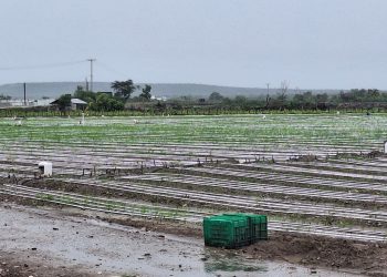 WhatsApp Image 2025 10 24 at 4.29.42 PM