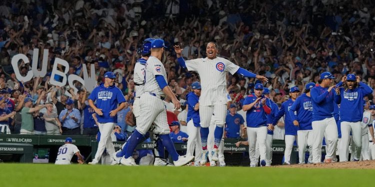 cubs
