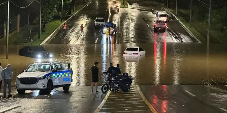 ecologica inundada
