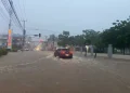 melissaa tormenta