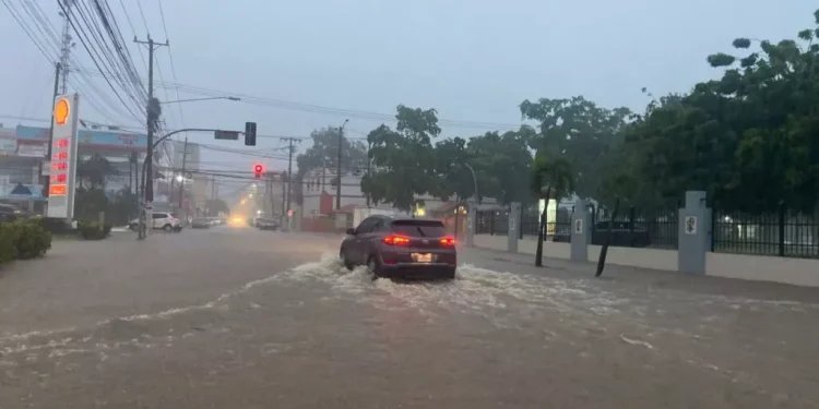 melissaa tormenta
