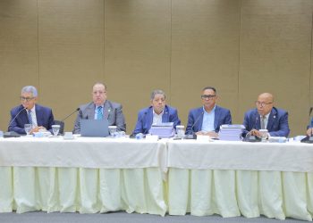 comisión bicameral