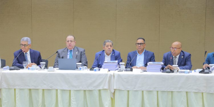 comisión bicameral