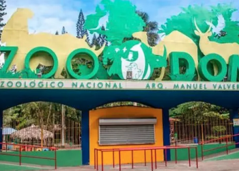 Captura de pantalla 2025 12 05 a la(s) 7.45.20 a. m.