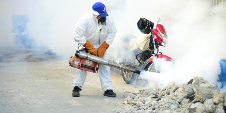 Dengue fumigación