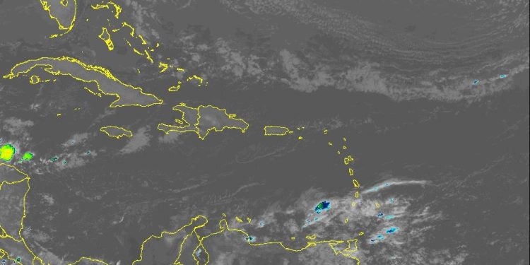 WhatsApp Image 2025 12 29 at 8.16.46 AM