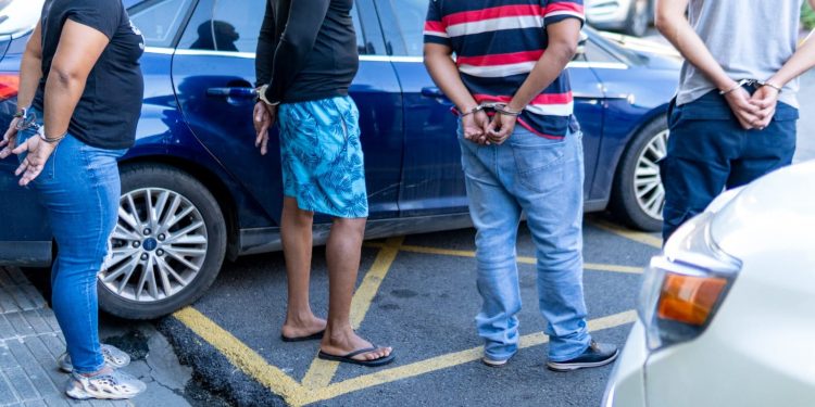 WhatsApp Image 2025 12 30 at 12.12.42 PM