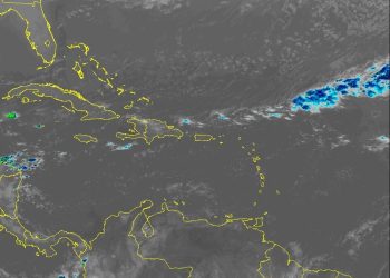 f7a78dad a51e 4ddb 814d 9de258a72298